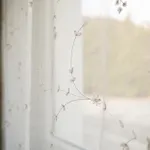 Apartma Joy * Podčetrtek