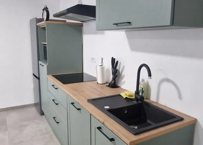 Apartment Apartma Bach