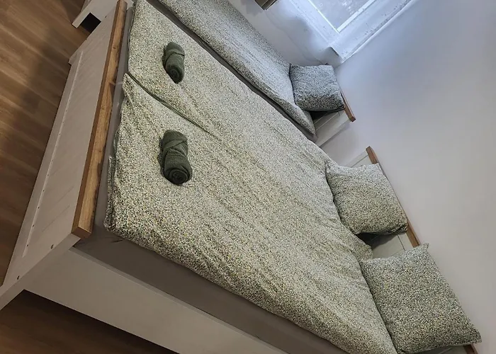 Apartment Apartma Bach *